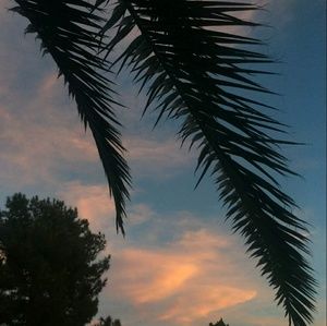 Meet your Posher, Telia